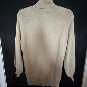 Express Design Studio Turtleneck Sweater